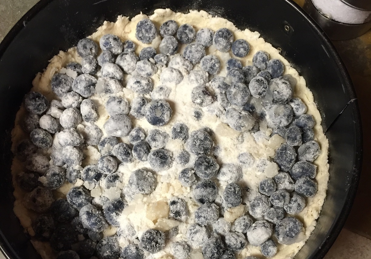 blueberry_tart_ready.jpg